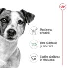 Royal Canin Mini Adult Hrană uscată pentru câini 2 kg 
