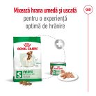 Royal Canin Mini Adult Hrană uscată pentru câini 2 kg 
