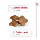Royal Canin Mini Adult 8+ Hrană uscată pentru câini 2 kg