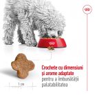 Royal Canin Mini Adult 8+ Hrană uscată pentru câini 2 kg