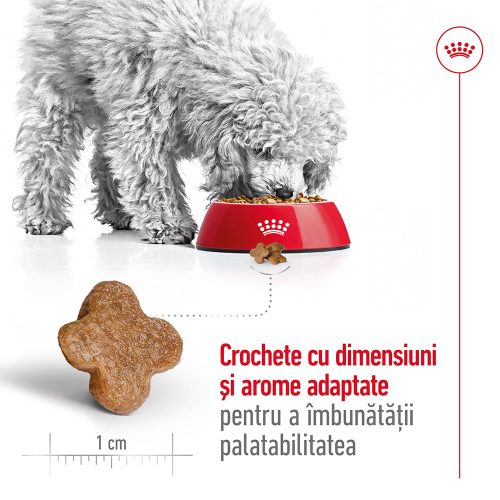 Royal Canin Mini Adult 8+ Hrană uscată pentru câini 2 kg