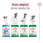 Royal Canin Mini Adult 8+ Hrană uscată pentru câini 2 kg