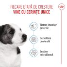 Royal Canin Mini Puppy Hană uscată pentru câini junior 2 kg