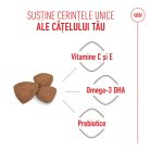 Royal Canin Mini Puppy Hană uscată pentru câini junior 2 kg