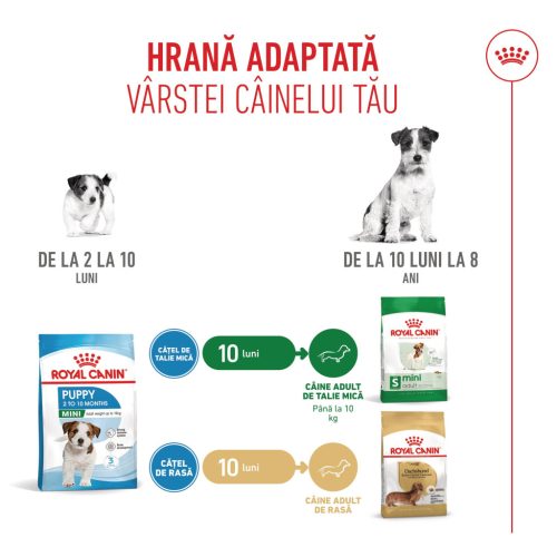 Royal Canin Mini Puppy Hană uscată pentru câini junior 2 kg