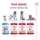 Royal Canin Medium Adult Hrană uscată pentru câini 15 kg