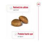 Royal Canin® Maxi Puppy Hrană uscată pentru câini junior 15 kg