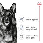 Royal Canin® Maxi Adult Hrană uscată pentru câini 15 kg