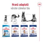 Royal Canin® Maxi Adult Hrană uscată pentru câini 15 kg
