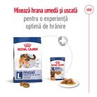 Royal Canin® Maxi Adult Hrană uscată pentru câini 15 kg