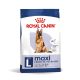 Royal Canin Maxi Adult 5+ Hrană uscată pentru câini 15 kg