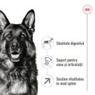 Royal Canin Maxi Adult 5+ Hrană uscată pentru câini 15 kg