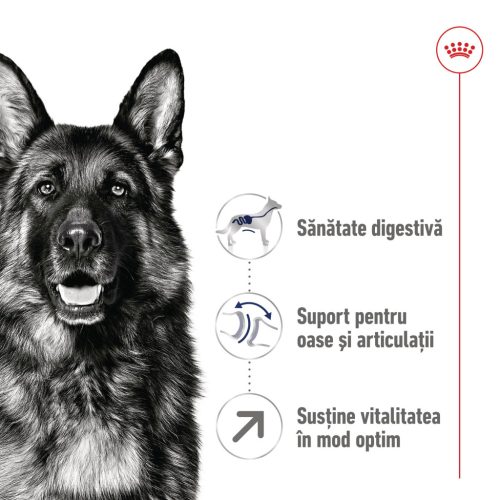 Royal Canin Maxi Adult 5+ Hrană uscată pentru câini 15 kg