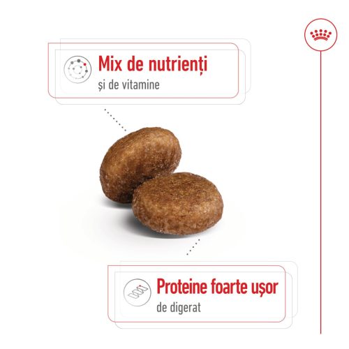 Royal Canin Maxi Adult 5+ Hrană uscată pentru câini 15 kg