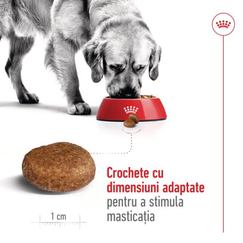Royal Canin Maxi Adult 5+ Hrană uscată pentru câini 15 kg