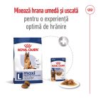 Royal Canin Maxi Adult 5+ Hrană uscată pentru câini 15 kg