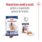 Royal Canin Maxi Adult 5+ Hrană uscată pentru câini 15 kg