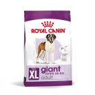 Royal Canin Giant Adult Hrană uscată pentru câini 15 kg