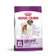 Royal Canin Giant Adult Hrană uscată pentru câini 15 kg