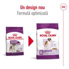 Royal Canin Giant Adult Hrană uscată pentru câini 15 kg
