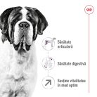 Royal Canin Giant Adult Hrană uscată pentru câini 15 kg