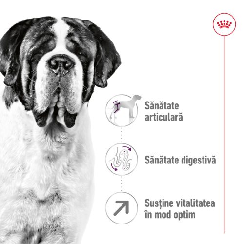 Royal Canin Giant Adult Hrană uscată pentru câini 15 kg
