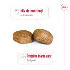 Royal Canin Giant Adult Hrană uscată pentru câini 15 kg