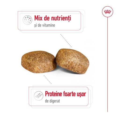 Royal Canin Giant Adult Hrană uscată pentru câini 15 kg