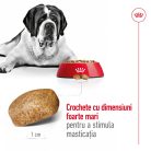 Royal Canin Giant Adult Hrană uscată pentru câini 15 kg