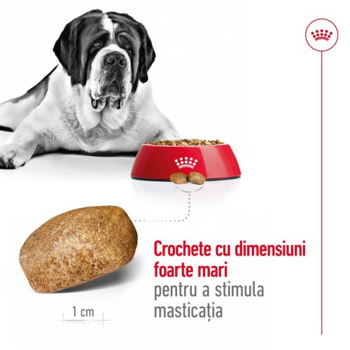 Royal Canin Giant Adult Hrană uscată pentru câini 15 kg