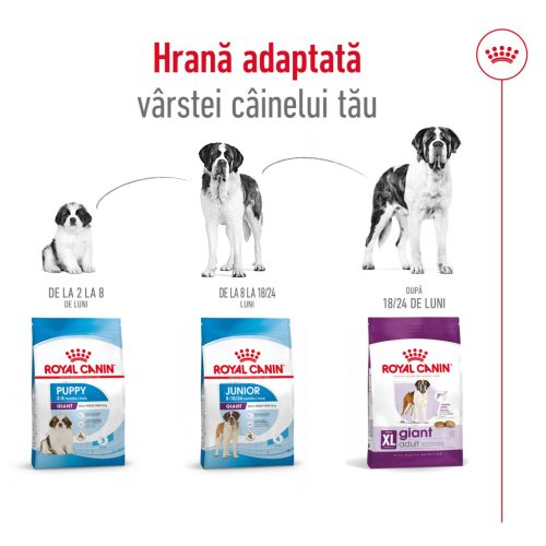 Royal Canin Giant Adult Hrană uscată pentru câini 15 kg