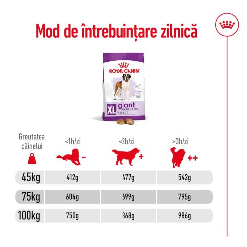 Royal Canin Giant Adult Hrană uscată pentru câini 15 kg