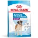 Royal Canin Giant Junior Hrană uscată pentru câini, etapa 2 de creștere 15 kg