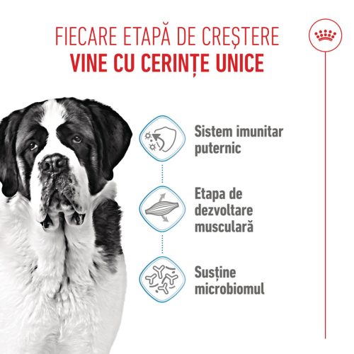 Royal Canin Giant Junior Hrană uscată pentru câini, etapa 2 de creștere 15 kg