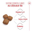 Royal Canin Giant Junior Hrană uscată pentru câini, etapa 2 de creștere 15 kg