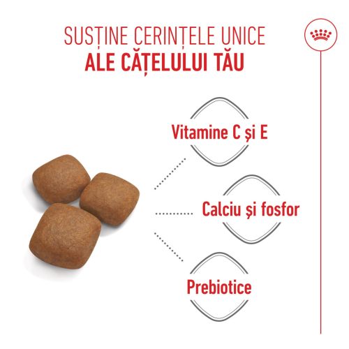 Royal Canin Giant Junior Hrană uscată pentru câini, etapa 2 de creștere 15 kg