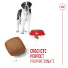 Royal Canin Giant Junior Hrană uscată pentru câini, etapa 2 de creștere 15 kg