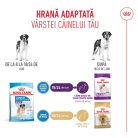 Royal Canin Giant Junior Hrană uscată pentru câini, etapa 2 de creștere 15 kg