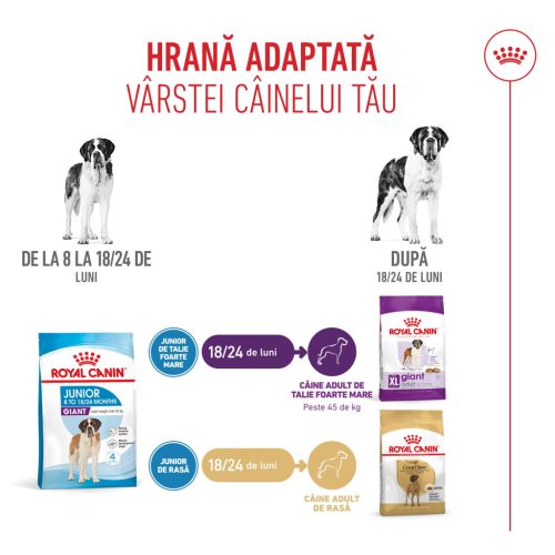Royal Canin Giant Junior Hrană uscată pentru câini, etapa 2 de creștere 15 kg