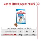 Royal Canin Giant Junior Hrană uscată pentru câini, etapa 2 de creștere 15 kg