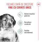 Royal Canin Medium Puppy Hrană uscată pentru câini junior 15 kg