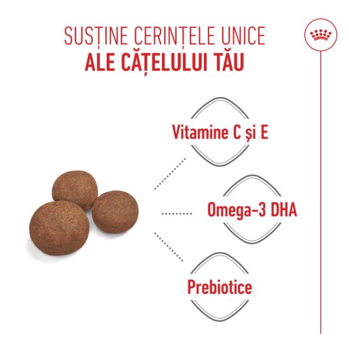 Royal Canin Medium Puppy Hrană uscată pentru câini junior 15 kg