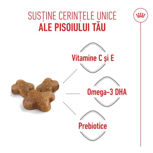 Royal Canin Kitten Hrană uscată pentru pisici 2 kg