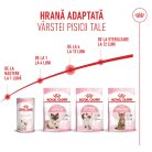 Royal Canin Kitten Hrană uscată pentru pisici 2 kg