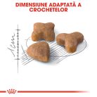 Royal Canin Sensible Adult Hrană uscată pentru pisici, digestie optimă 2 kg