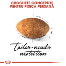 Royal Canin Persian Adult Hrană uscată pentru pisici 2 kg