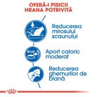 Royal Canin Indoor Adult Hrană uscată pentru pisici de interior 2 kg