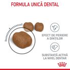 Royal Canin Oral Care Adult Hrană uscată pentru pisici 1,5 kg