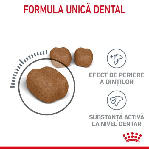 Royal Canin Oral Care Adult Hrană uscată pentru pisici 1,5 kg