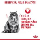 Royal Canin Oral Care Adult Hrană uscată pentru pisici 1,5 kg